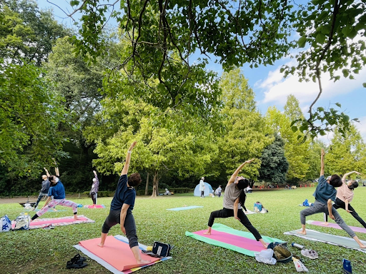 An image of people doing yoga at the park